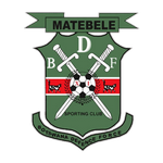 BDF XI logo