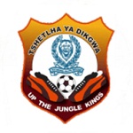 Police XI logo